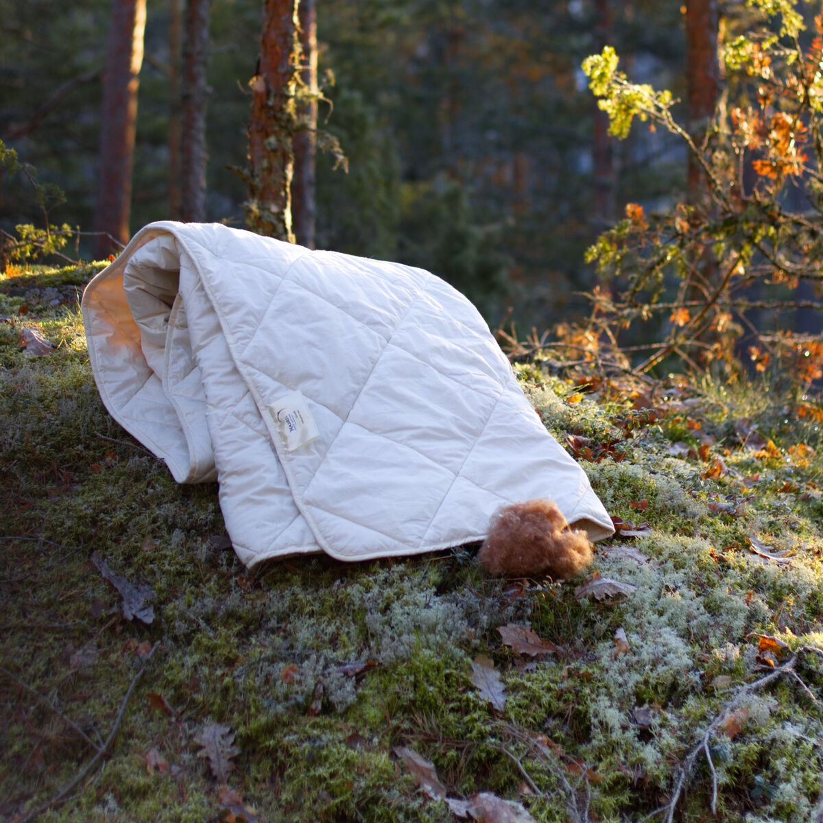 Luomupuuvillapeitto – lisäkuva